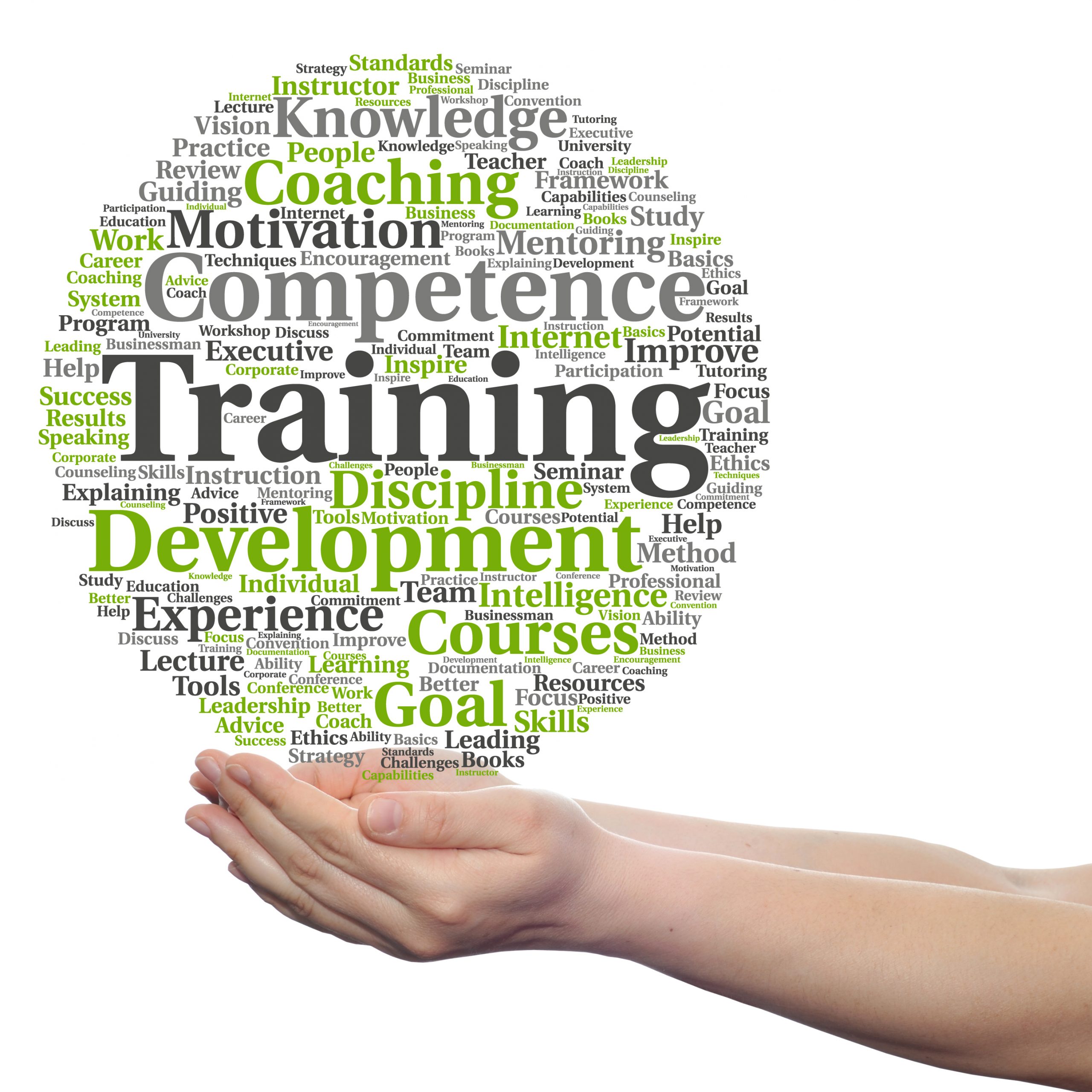 Hand holding globe of training